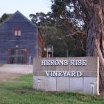 Herons Rise Vineyard Accommodation - Stayed 0
