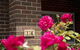 Rose Cottage Charming Double Brick Near Cook Park & CBD - thumb 4