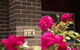 Rose Cottage Charming Double Brick Near Cook Park & CBD - thumb 0