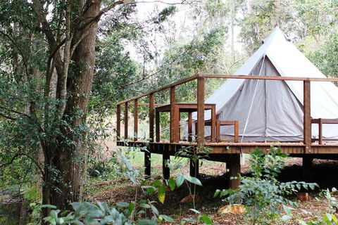 Stonehouse Farm Glamping - Stays Accommodation 5