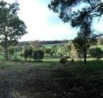 Chandeliers on Abbey - Stayed