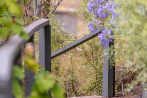 In The Valley - Stayed 5