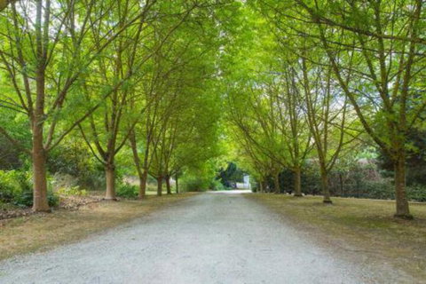 In The Valley - Stayed 6