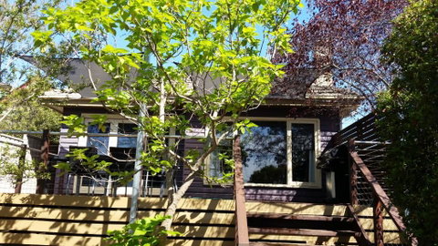 HogmortHomes Olinda Street - Stays Accommodation 1