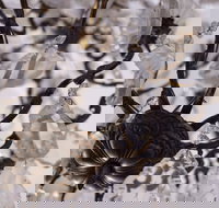 Discover Classic Rocks - Stayed