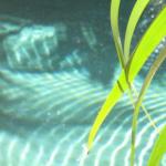 Bli Bli QLD Stays Accommodation