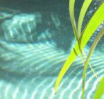 Artizen - Stays Accommodation