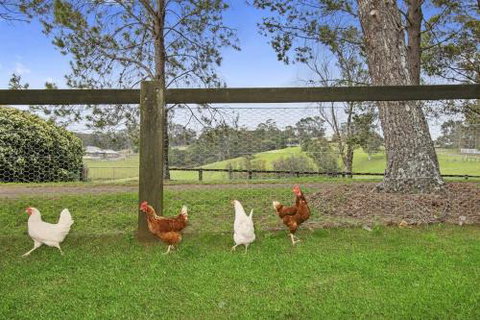 TINY HOME......BIG Views - Stayed 6