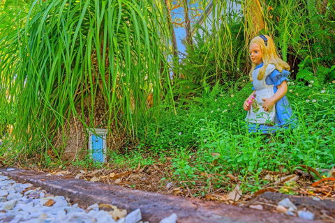 Cloud 9 Cliff Top Eagle Heights - Stayed 5