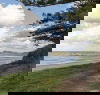 Coco der Mer - Stayed