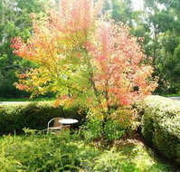 Acacia House Retreat Daylesford - Stayed