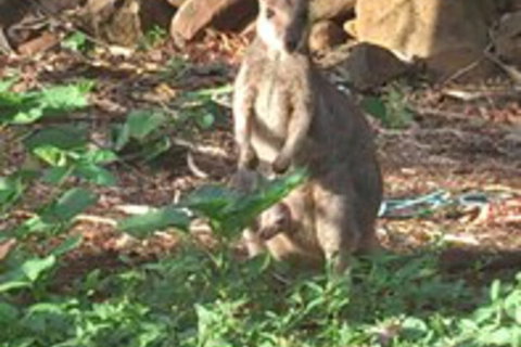 Sunbird Motel - Stayed 1