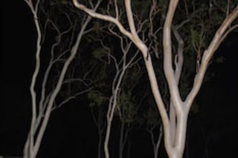 Sunbird Motel - Stayed 4