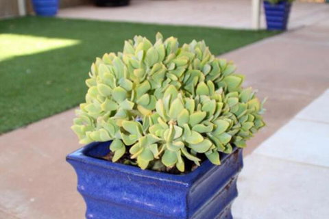 Sunset Retreat - Stayed 3