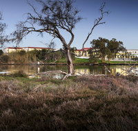 Swan River Hotel - Stays Accommodation
