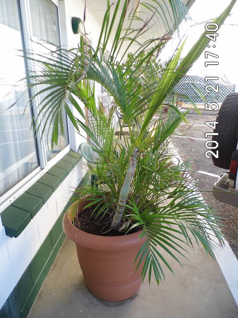 Central Point Motel - Stays Accommodation 1