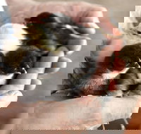 Margaret River Hideaway - Stayed