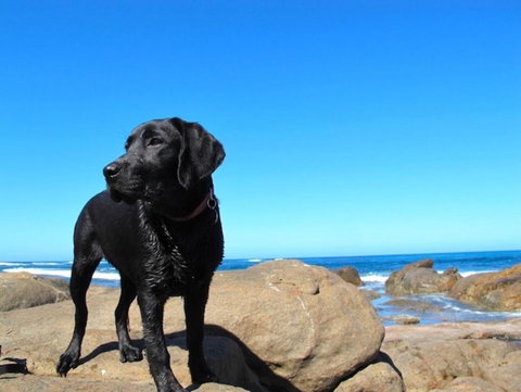 Beachside Prevelly Villas - Stayed 2