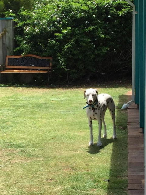 Beachside Prevelly Villas - Stayed 3