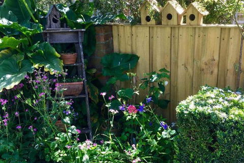 Aggies Bed & Breakfast - Stayed 7