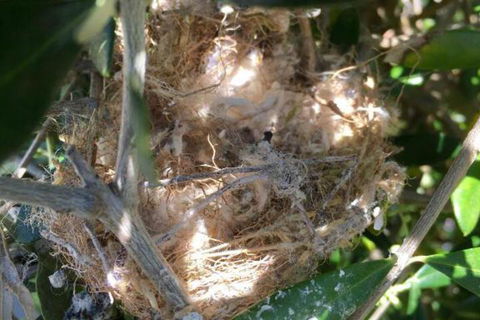 Aggies Bed & Breakfast - Stayed 2