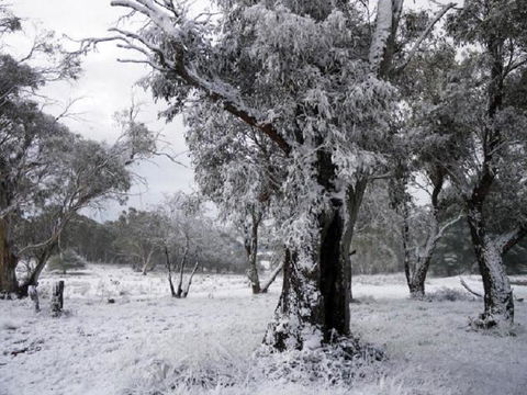 Alpha Centauri 8 Budget Jindabyne Holiday Apartment - Stayed 3