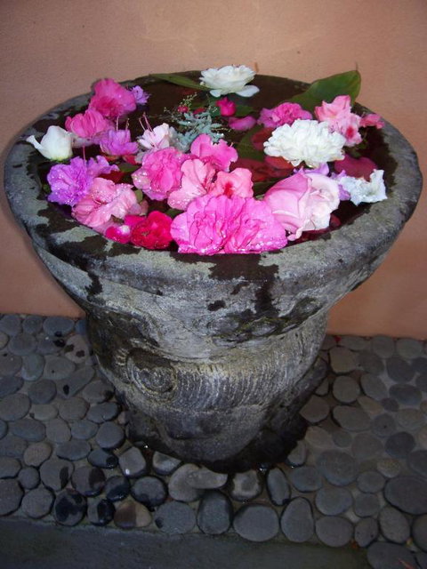 Riveresque - Stayed 2