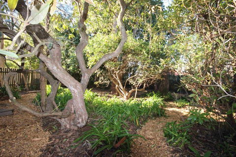 Stonewall Cottage For Two With Fireplace - Stayed 2