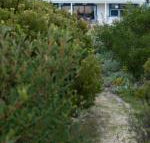 Polperro a quintessential seaside experience - Stayed