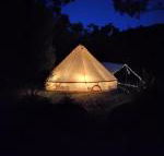 Glamping at Zeehan Bush Camp - Stayed