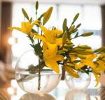 KUI Manhattan Apartments - Stayed