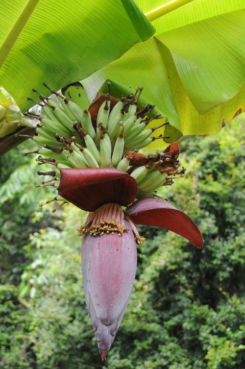 Wildwood - Stays Accommodation 6