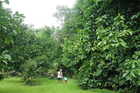 Wildwood - Stays Accommodation 1