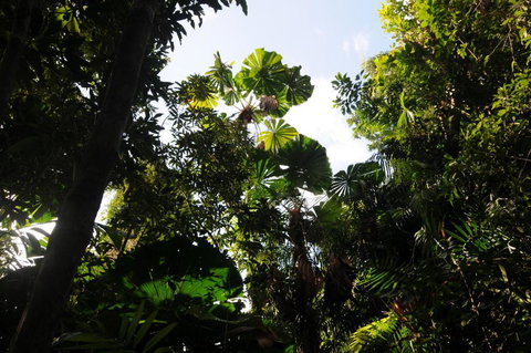 Wildwood - Stays Accommodation 5