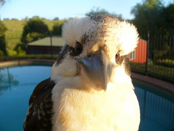 Belle La Vie B & B - Stayed 3