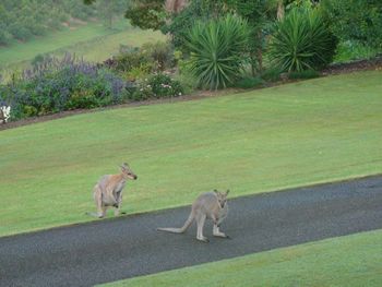 Belle La Vie B & B - Stayed 5