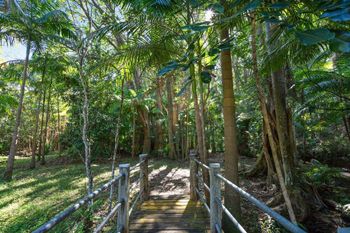 Paperbark - Stayed 1