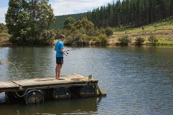 Nannup Valley Chalets - Stayed 1
