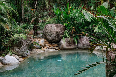 Silky Oaks Lodge - Stays Accommodation 1