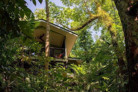 Silky Oaks Lodge - Stays Accommodation 3