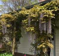 Clarence Cottage - Stayed