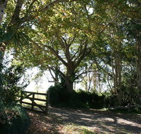 Maleny Mountain Retreat - Stayed