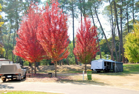 Beechworth Lake Sambell Caravan Park - Stayed 1