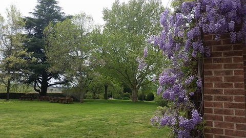 Petersons Armidale Winery & Guesthouse - Stayed 0