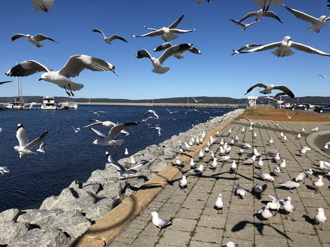 Albany Foreshore Guest House - Stayed 4