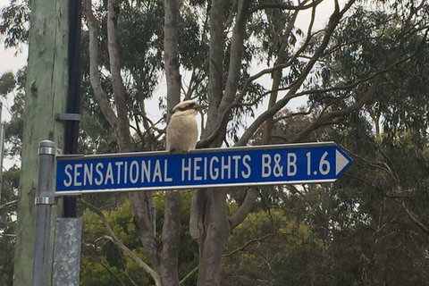 Sensational Heights Bed & Breakfast - Stayed 2