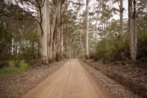 Sensational Heights Bed & Breakfast - Stayed 1