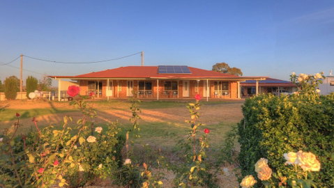 The Golfers Inn - Stays Accommodation 4