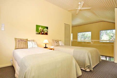 Tree Elle - Stayed 5