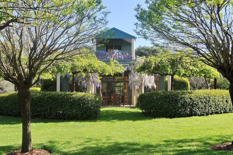 Tree Elle - Stayed 0